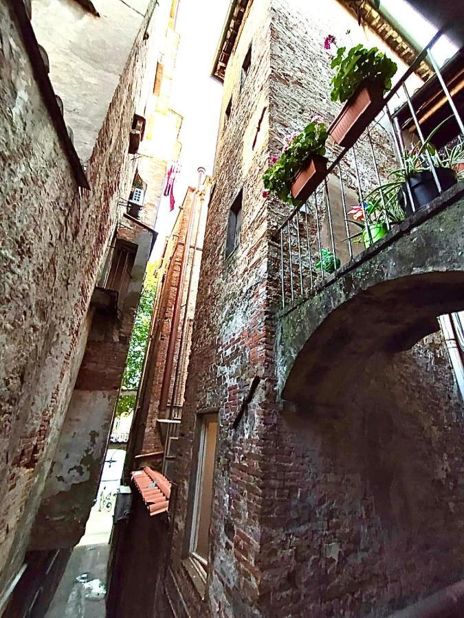 Piazza Napoleone Sweet Apartment Lukka Zewnętrze zdjęcie